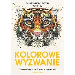 KOLOROWE WYZWANIE. NIEZWYKŁE OBRAZKI, KTÓRE UCZĄ PRECYZJI