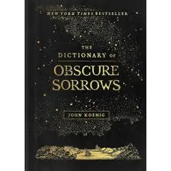 THE DICTIONARY OF OBSCURE SORROWS