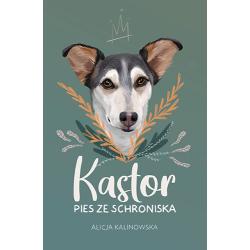 KASTOR. PIES ZE SCHRONISKA