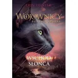 WOJOWNICY. WSCHÓD SŁOŃCA. POTĘGA TRÓJKI