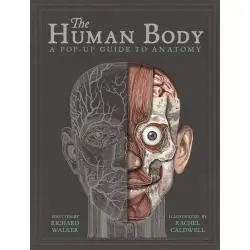 HUMAN BODY