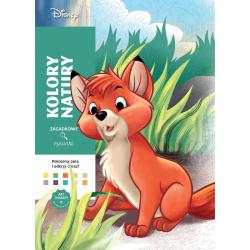 DISNEY KOLORY NATURY. ART THERAPY. KOLOROWANKA ANTYSTRESOWA. ZAGADKOWE RYSUNKI