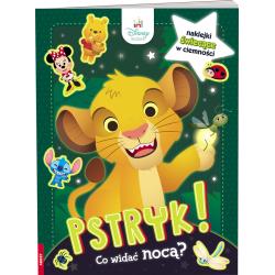 DISNEY MALUCH. PSTRYK! CO WIDAĆ NOCĄ?