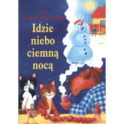 IDZIE NIEBO CIEMNĄ NOCĄ