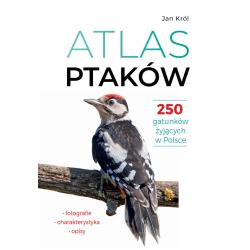 ATLAS PTAKÓW. 250 GATUNKÓW ŻYJĄCYCH W POLSCE