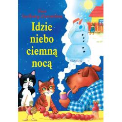 IDZIE NIEBO CIEMNĄ NOCĄ