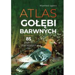 ATLAS GOŁĘBI BARWNYCH