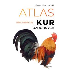 ATLAS KUR OZDOBNYCH. WYBÓR. HODOWLA. RASY