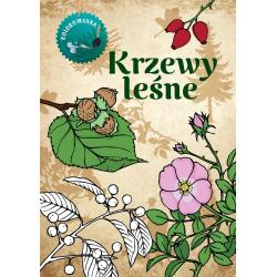 KRZEWY LEŚNE. KOLOROWANKA