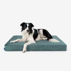 LEGOWISKO MATERAC ORTOPEDYCZNY DLA PSA PETFORMED 89x55 CM – HIPOALERGICZNY, ZMYWALNY, NIE ZAPADA SIĘ