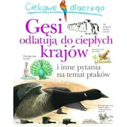 CIEKAWE DLACZEGO GĘSI ODLATUJĄ DO CIEPŁYCH KRAJÓW I INNE PYTANIA NA TEMAT PTAKÓW