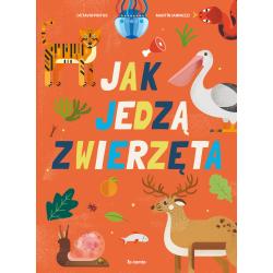 JAK JEDZĄ ZWIERZĘTA