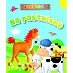 TU I TAM! NA PASTWISKU