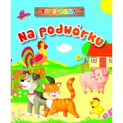 TU I TAM! NA PODWÓRKU
