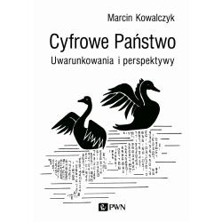 CYFROWE PAŃSTWO UWARUNKOWANIA I PERSPEKTYWY
