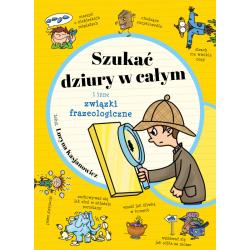 SZUKAĆ DZIURY W CAŁYM I INNE ZWIĄZKI FRAZEOLOGICZNE