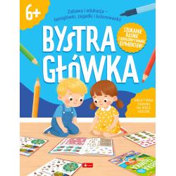 REBUSY I ZAGADKI LOGICZNE. BYSTRA GŁÓWKA 6+