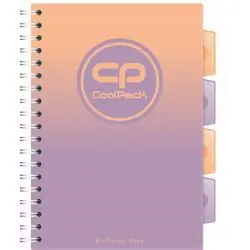 KOŁOZESZYT W KRATKĘ 100 KARTEK Z PRZEKŁADKAMI I LINIJKĄ B5