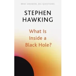 WHAT IS INSIDE A BLACK HOLE
