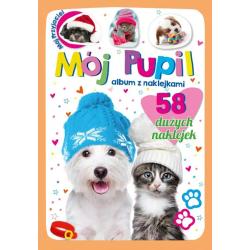 MÓJ PUPIL. ALBUM Z NAKLEJKAMI + DOMINO II GATUNEK
