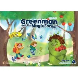 GREENMAN AND THE MAGIC FOREST LEVEL A BIG BOOK