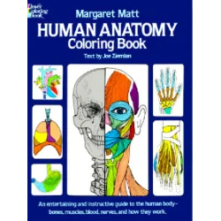 HUMAN ANATOMY COLORING BOOK