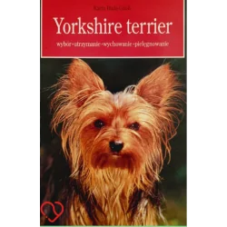 YORKSHIRE TERRIER