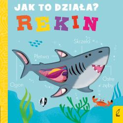 REKIN. JAK TO DZIAŁA