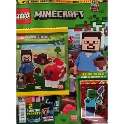 LEGO MINECRAFT 8/2024