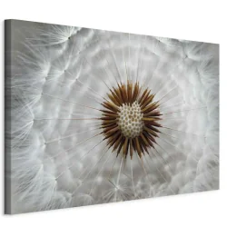 OBRAZ ŚCIENNY DMUCHAWIEC W PRZYBLIŻENIU 120x80 CM