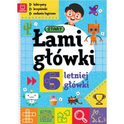 ŁAMIGŁÓWKI 6-LETNIEJ GŁÓWKI. LABIRYNTY, KRZYŻÓWKI, ZADANIA LOGICZNE