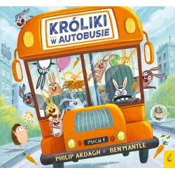 KRÓLIKI W AUTOBUSIE. PĘDZĄCE KRÓLIKI