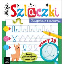 MOJE SZLACZKI. KSIĄŻKA Z ROWKAMI. WZORY 3D