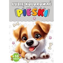 PIESKI. LUBIĘ KOLOROWAĆ