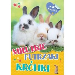 MILUTKIE FUTRZAKI. KRÓLIKI