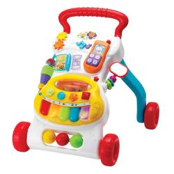 CHODZIK ROŚNIJ ZE MNĄ SMILY PLAY 6-30 M+ - Anek