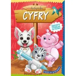 CYFRY. MINIKALIGRAFIA. ZESZYT Z ROWKAMI DO PISANIA