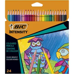 KREDKI TRÓJKĄTNE 24 KOLORY BIC