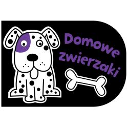 ZWIERZAKI DOMOWE