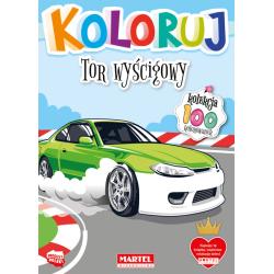 TOR WYŚCIGOWY KOLORUJ