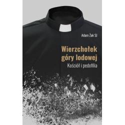 WIERZCHOŁEK GÓRY LODOWEJ. KOŚCIÓŁ I PEDOFILIA