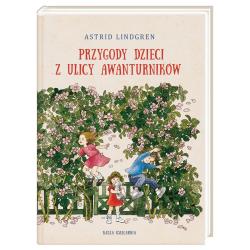 PRZYGODY DZIECI Z ULICY AWANTURNIKÓW