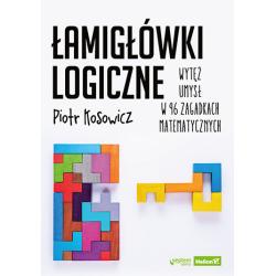 ŁAMIGŁÓWKI LOGICZNE. WYTĘŻ UMYSŁ W 96 ZAGADKACH MATEMATYCZNYCH