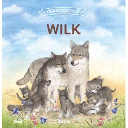 WILK. DZIKIE ZWIERZĘTA W NATURZE
