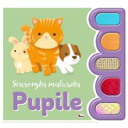 PUPILE. SENSORYKA MALUSZKA