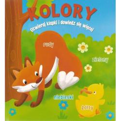 KOLORY. OTWIERAJ KLAPKI I DOWIEDZ SIĘ WIĘCEJ