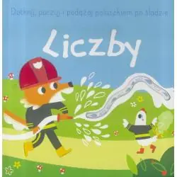 LICZBY. DOTKNIJ, POCZUJ I PODĄŻAJ PO ŚLADZIE