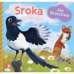 SROKA