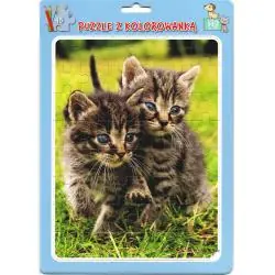 KOTY. PUZZLE W RAMCE Z KOLOROWANKĄ