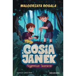 GOSIA I JANEK. TAJEMNICZE KAMIENIE
